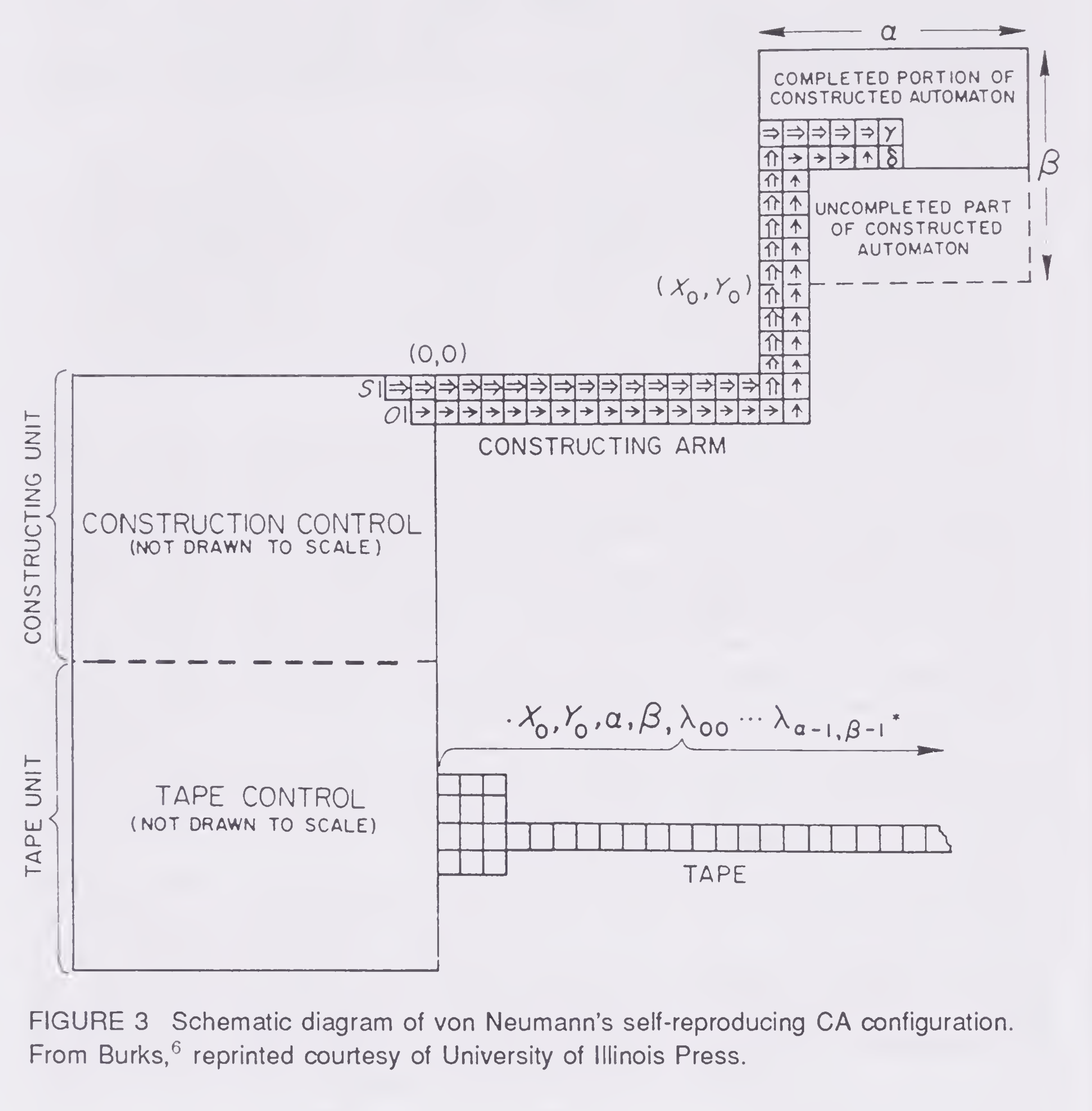 Primary-source scan of Figure 3 from Langton's Artificial Life chapter in ALIFE I, including the printed caption for von Neumann's self-reproducing cellular automaton configuration.